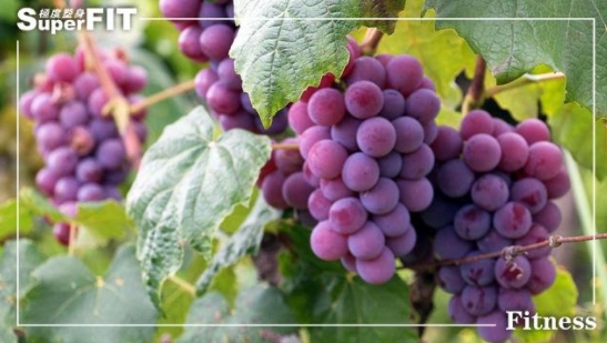紫葡萄含有花青素、鞣花酸與其他促進健康的植物性化學成分的食物，能夠預防癌症、增強記憶力與延緩老化速度的功用。